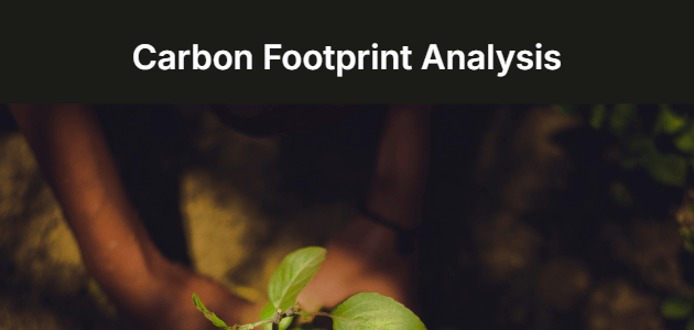 Carbon Footprint Analysis